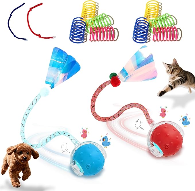 Interactive Cat Toys Ball for Indoor Cats, Automatic Cat Toy by Petayouj