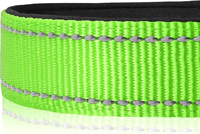 Joytale Reflective Dog Collar, Soft Neoprene Padded, Metal D-Ring, Nylon Pet - Image 4