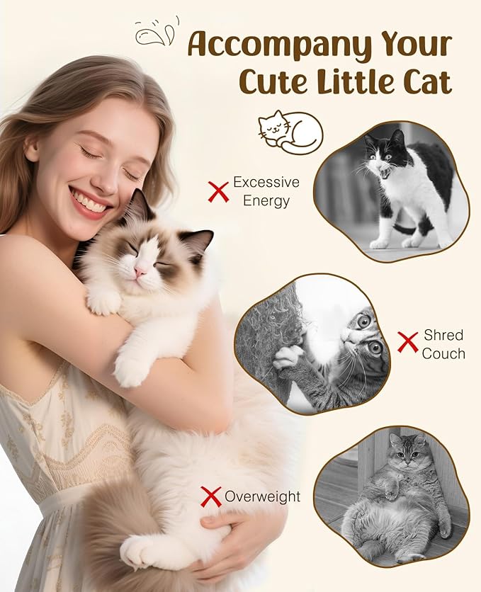 Pawaboo Feather Teaser Cat Toy, Interactive Feather Wand Cats Toy Flying - Image 6