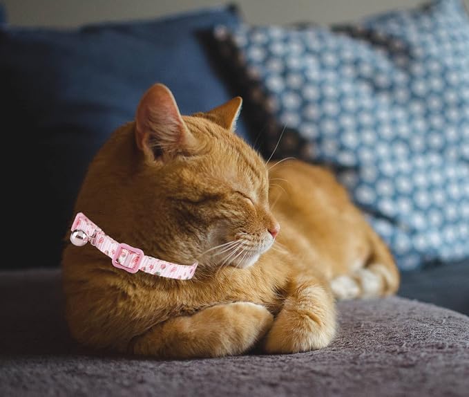 Breakaway Cat Collar with Bell, 2 Pack of Adjustable Floral Cat Collars Cute - Image 7