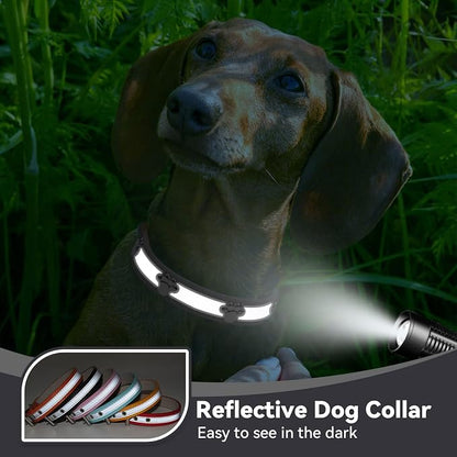 PETCARE Reflective Dog Collar - Image 5