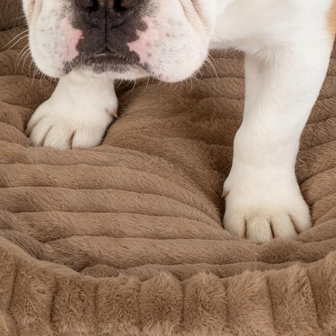 Cute Dog Bed for Medium Size Dog, Calming Medium Dog Cat Bed - Image 9