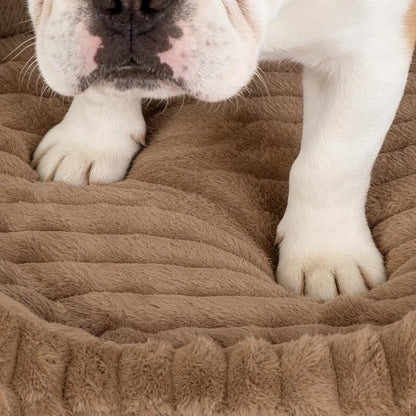 Cute Dog Bed for Medium Size Dog, Calming Medium Dog Cat Bed - Image 9