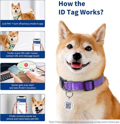 Reflective Dog Collar for Large Dogs - Image 5