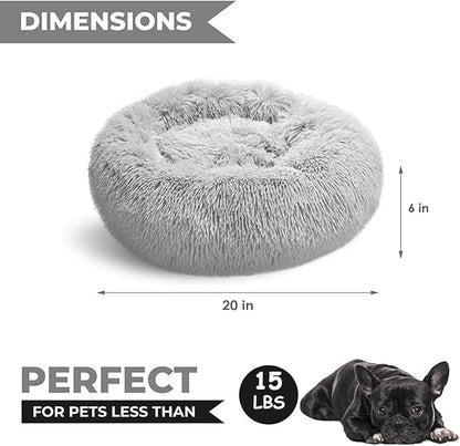 Whiskers & Friends Cat Bed Dog, Cat Beds - Image 2