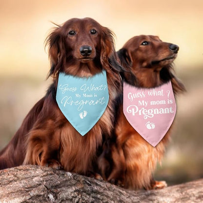 2 Packs Baby Announcements Ideas Guess What? My Mom is Pregnant Pregnancy - Image 5