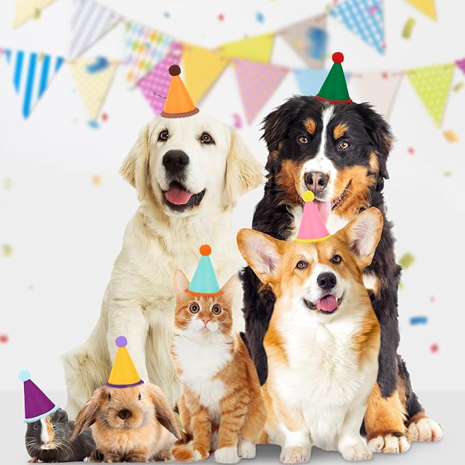 Hxezoc 10 Pcs Mini Birthday Party Hats Multicolor Lovely Crimping Cone Hats - Image 7