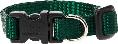 LupinePet Basics 1/2" Green 8-12" Adjustable Collar by LupinePet