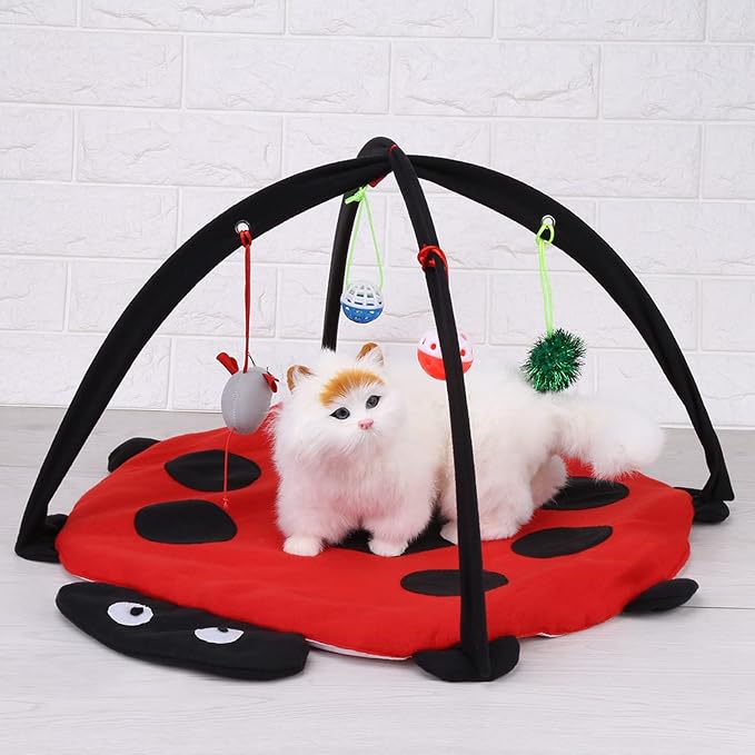 Foldable Cat Activity Play Mat Tent, Cat Activity Center Pet Kitten Cushion Bed by TITA-DONG