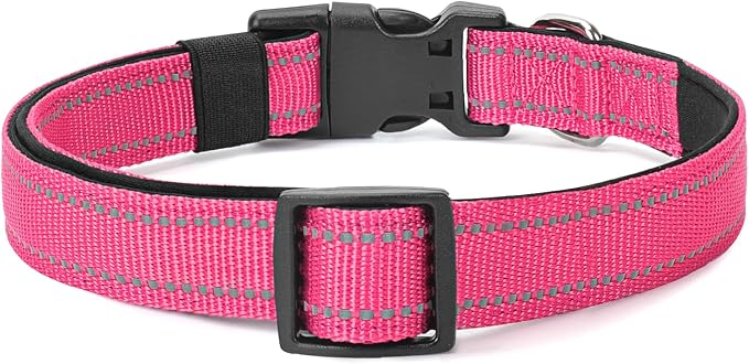 Reflective Dog Collar Padded - Image 6