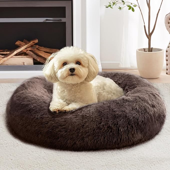 JOLLYVOGUE Calming Dog Bed Medium Size Dog, Anti-Anxiety Donut Medium Pet Bed by JOLLYVOGUE