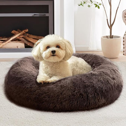 JOLLYVOGUE Calming Dog Bed Medium Size Dog, Anti-Anxiety Donut Medium Pet Bed by JOLLYVOGUE