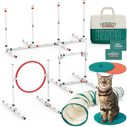 ALBERT & MIA CATGILITY Cat Agility Equipment + Clicker Trainer Guide – Exercise by ALBERT+%26+MIA