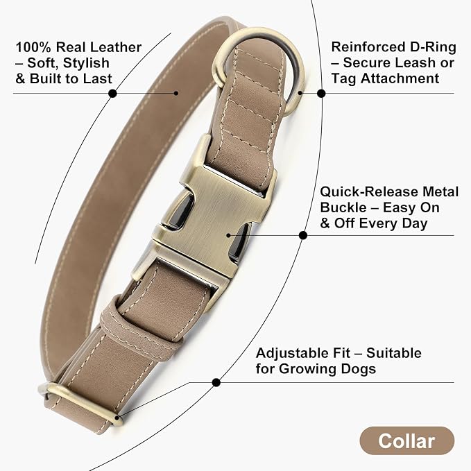 Plutus Pet Genuine Leather Dog Collar – Adjustable Pet Collar - Image 2