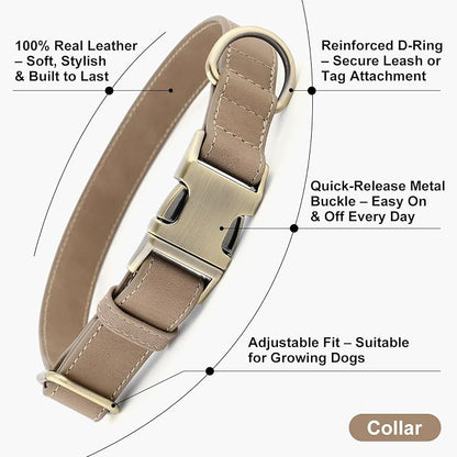 Plutus Pet Genuine Leather Dog Collar – Adjustable Pet Collar - Image 2
