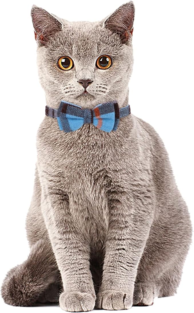 Faleela 2 Pack/Set Cat Collar - Image 5