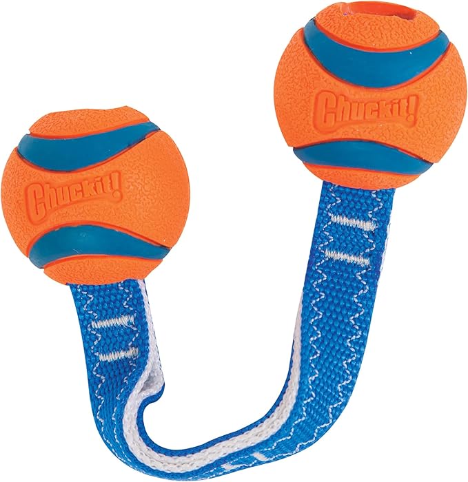 Chuckit! Ultra Duo Tug Dog Toy, Small Indoor and Outdoor Dog Ball - Image 2