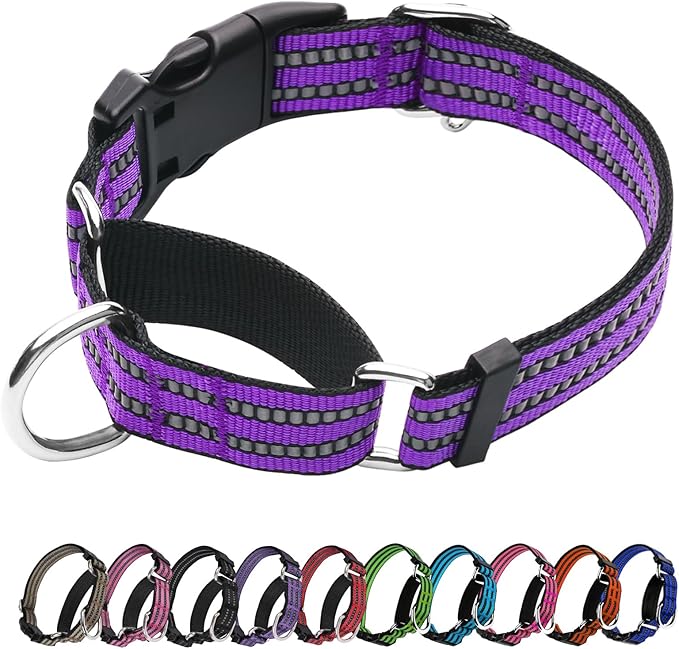 Martingale Dog Collar, Adjustable Nylon Reflective Collar by JOYEEIIOO