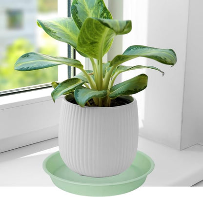 6 Pack Plastic Plant Saucer Water Drip Tray, 4 5 6 7 8 9 10 11 12 13 15 17 19 - Image 4