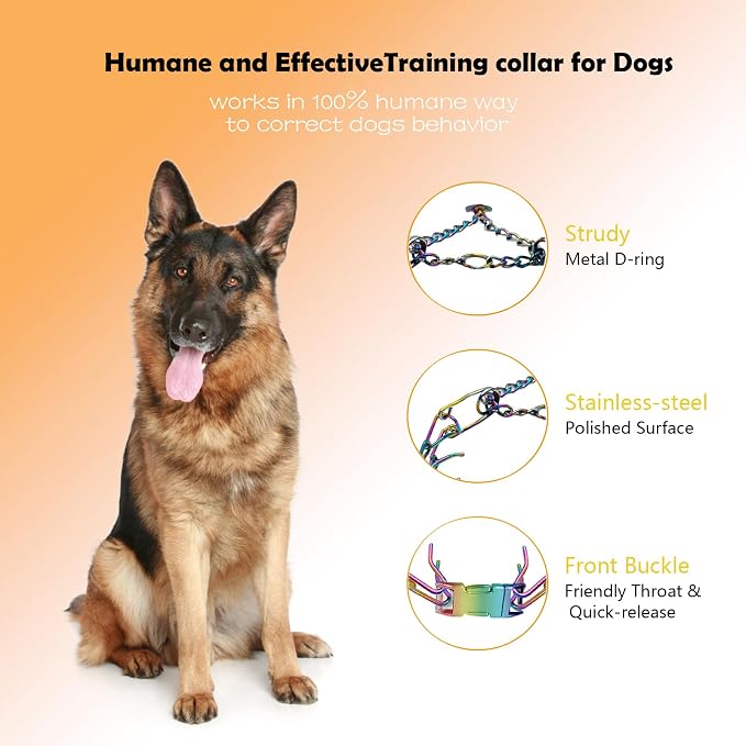 Dog Prong Collar - Image 3