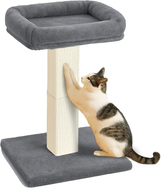 AGYM Cat Scratching Post, 32”Cat Scratcher by AGYM