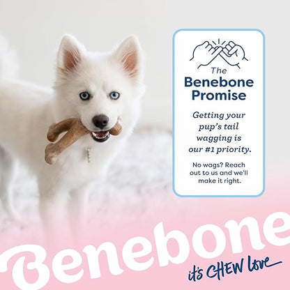 Benebone Puppy Wishbone Durable Dog Chew Toy - Image 6