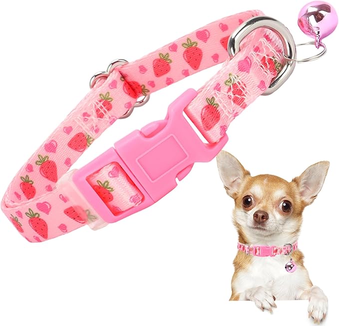 XS Dog Collar with Bell by ONEFOJOJO