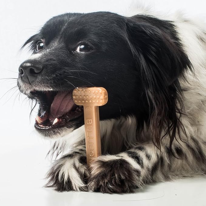 Bullibone Nylon Dog Chew Toy for Aggressive Chewers - Image 9