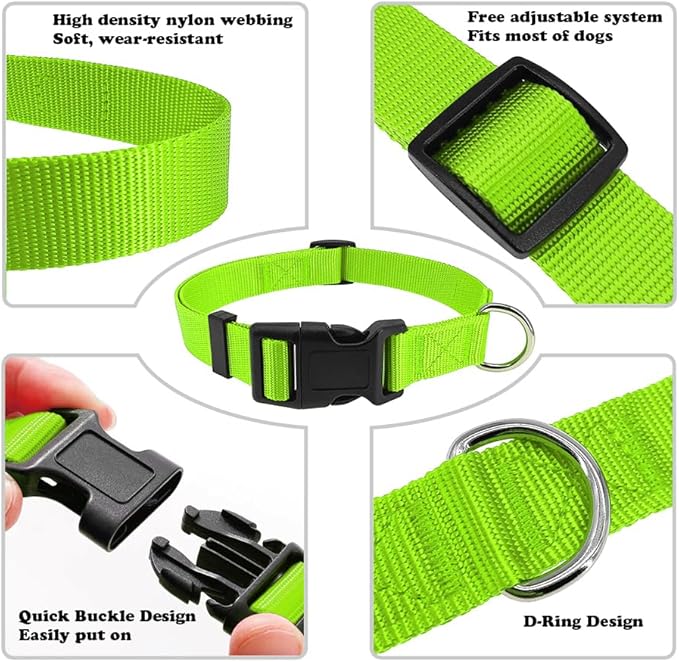 Dog Collar Green Basic Dog Collars - Image 3