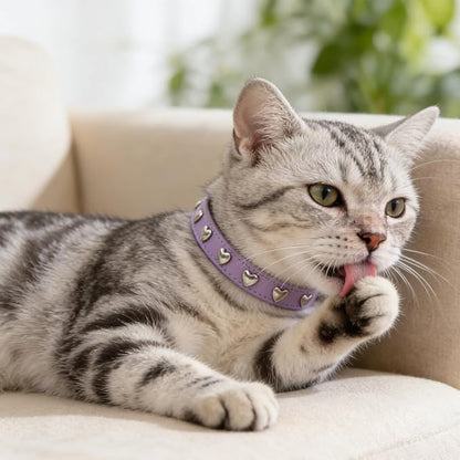 EXPAWLORER Leather Cat Collar for Girl Boy- Adjustable Pet Collar - Image 6