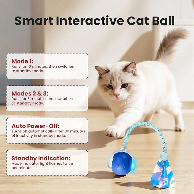 Rocfish Durable Interactive Cat Toys - Image 6