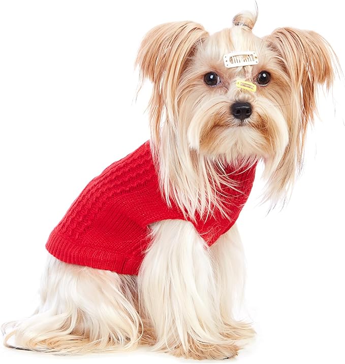 Stretchy Cat Sweater - Image 4