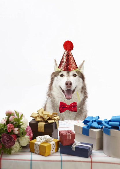 Christmas Pet Party Jazz Hat and Blingbling Bow Tie Breakaway Collar Set - Image 4