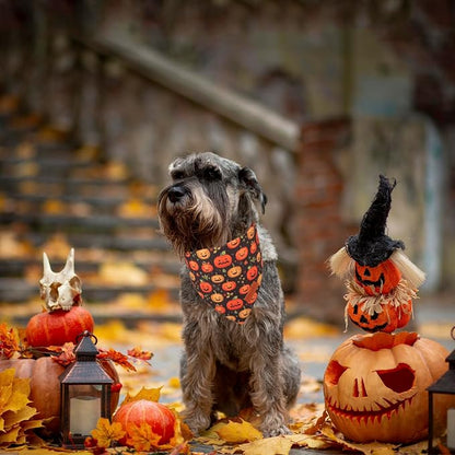 PTDECOR Halloween Dog Bandana, Skeleton Pumpkin Reversible Holiday Dog Scarf - Image 3