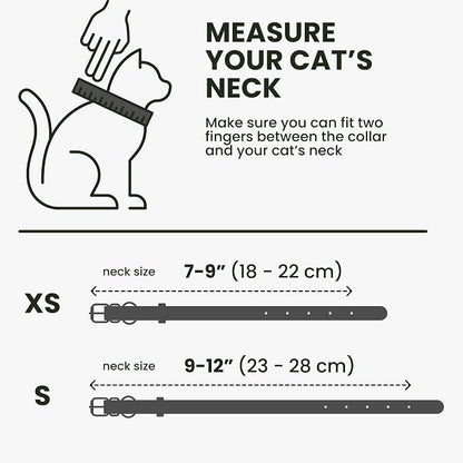 BRONZEDOG Leather Cat Collar - Image 7