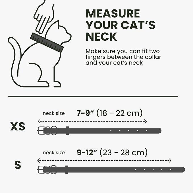 BRONZEDOG Leather Cat Collar - Image 7