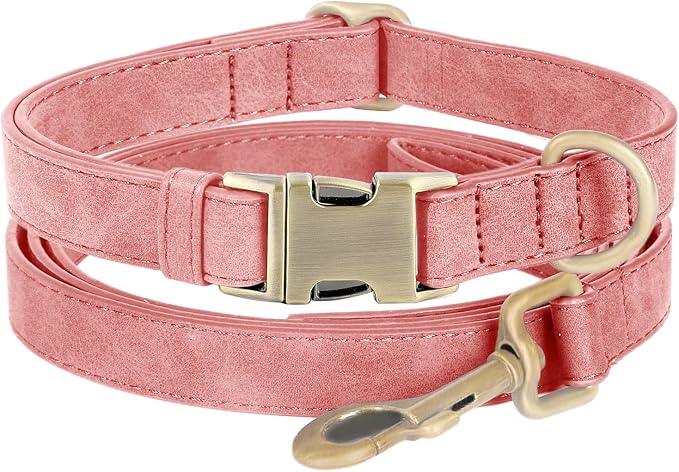 Genuine Leather Dog Collar by HOME