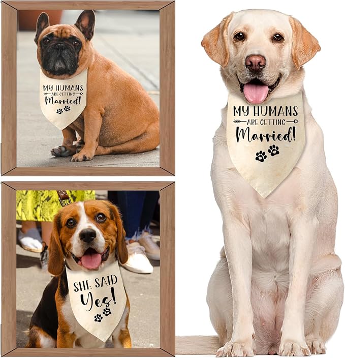 Engagement Gifts My Humans are Getting Married! SHE Said Yes! Pet Bandana Scarf - Image 4