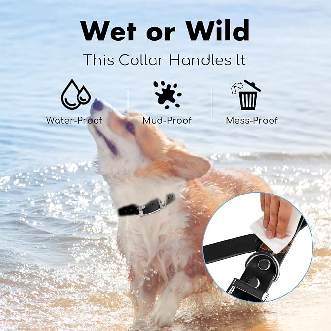 4.2FT Dog Collar and Leash Set, PVC Waterproof Adjustable Odor Proof Pet - Image 5