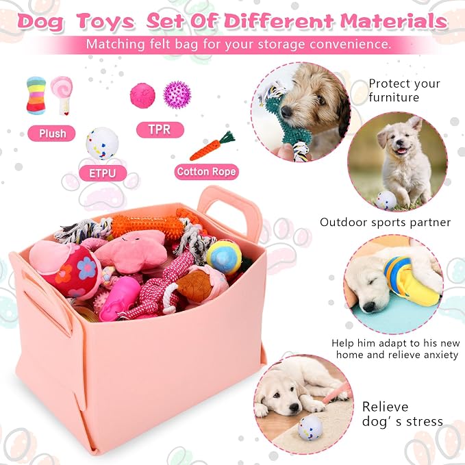 65 Pcs Puppy Supplies Starter Kit Small Dog Essentials Includes Dog Leash - Image 4