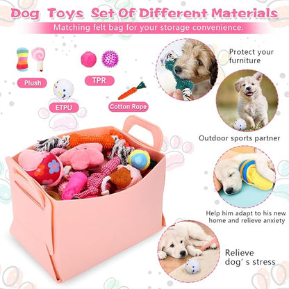65 Pcs Puppy Supplies Starter Kit Small Dog Essentials Includes Dog Leash - Image 4