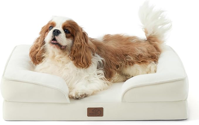 Bedsure Orthopedic Dog Bed Medium Size Dogs by BEDSURE