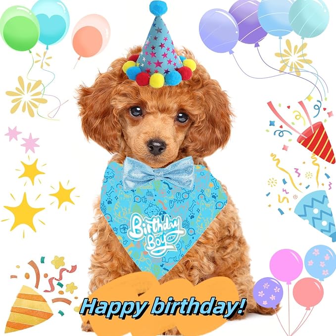 Happy Birthday Dog Party Supplies Kit - Image 5