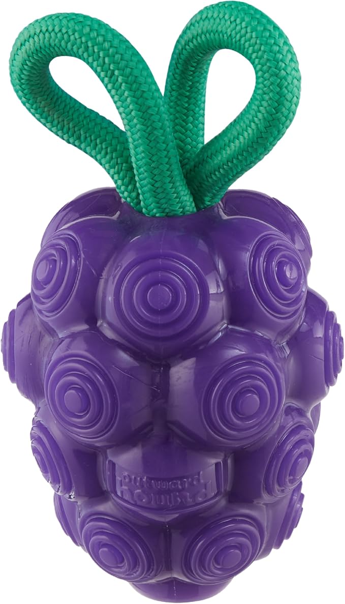Outward Hound Dental Grapes Dog Toy & Treat Stuffer, 6″ x 3″ Grape-Scent by OutwardHound