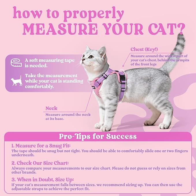 rabbitgoo Cat Harness and Leash - Image 2