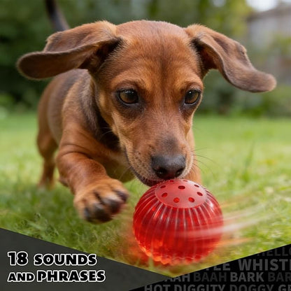 Pet Qwerks Blinky Babble Ball - Image 6