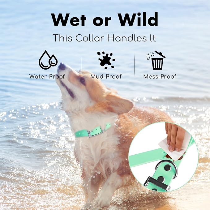 4.2FT Dog Collar and Leash Set, PVC Waterproof Adjustable Odor Proof Pet - Image 5