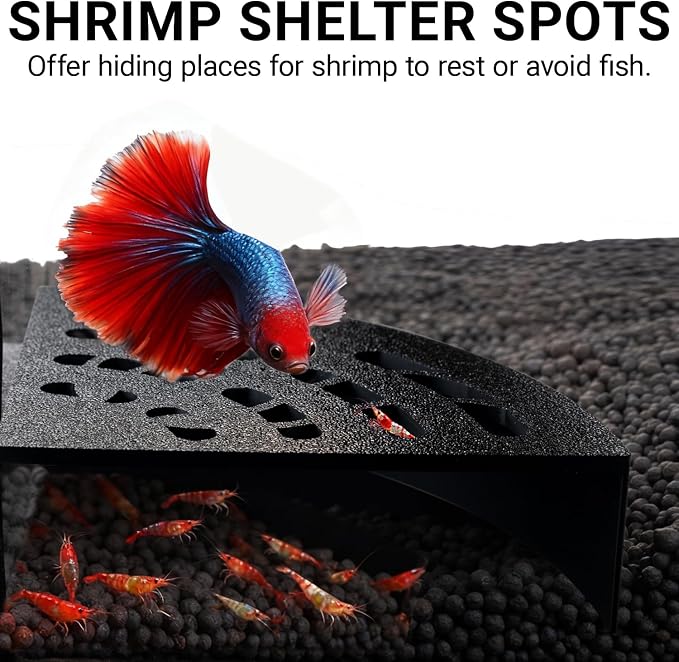 Shrimp Cave 2-Pack – Space-Saving Fan-Shaped Aquarium Cave Decor - Image 2