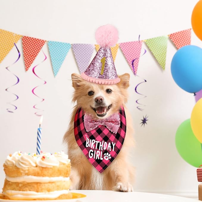 Weewooday Dog Birthday Party Supplies Birthday Boy Girl Cake Bandana Triangle - Image 6