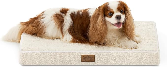 Dog Crate Bed for Small Size Dogs, Rectangular Orthopedic Cat Beds, Foam by COZYKISS